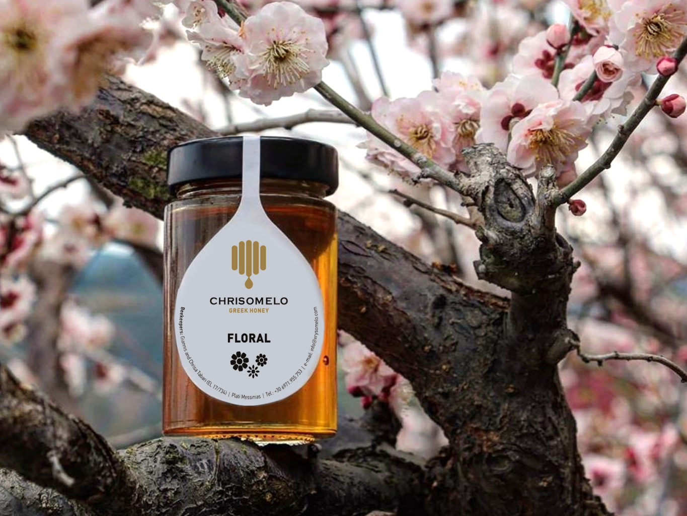 Chrisomelo honey packaging